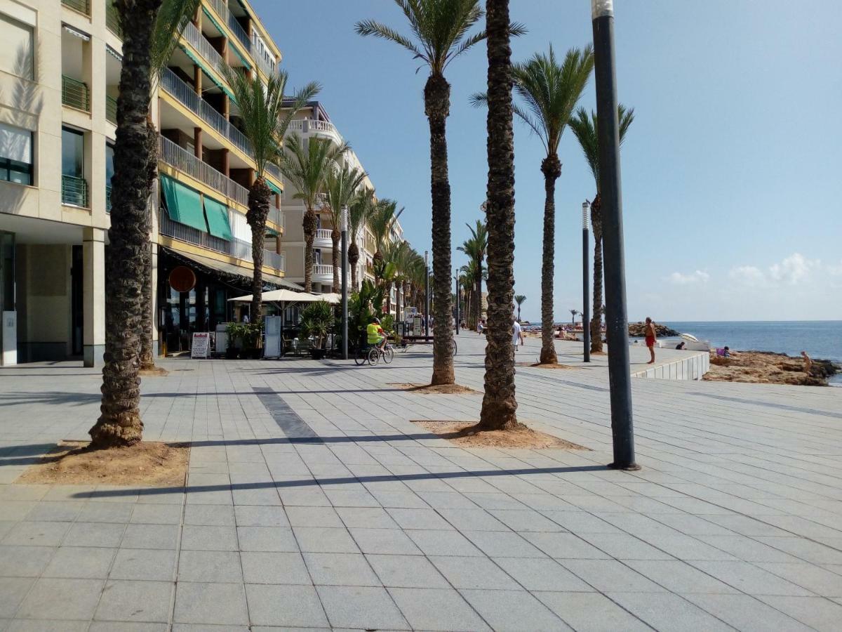 Appartement Edificio 1º Linea De Playa, En Paseo Maritimo De Torrevieja, Alicante, Costa Blanca